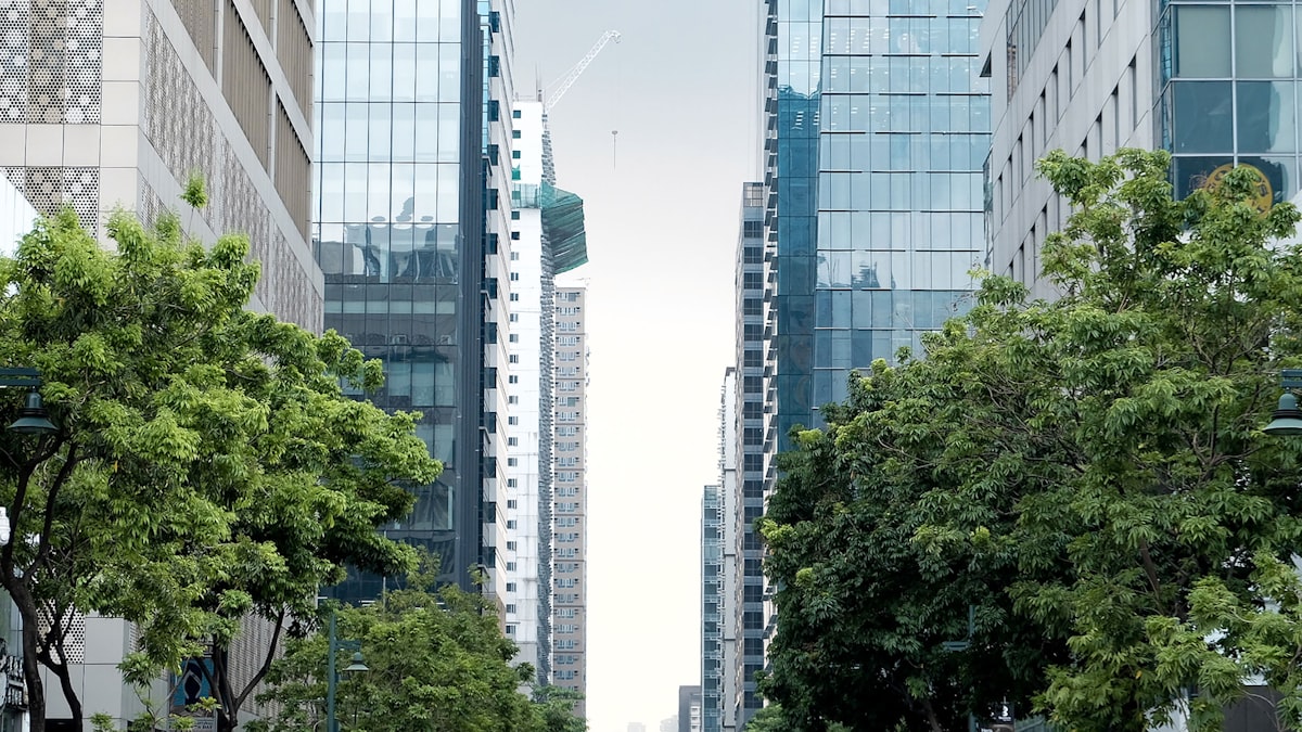 Végétation urbaine, pourquoi les arbres ne poussent pas n'importe où ?